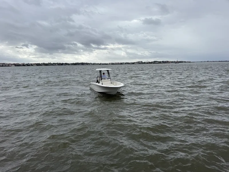 Slide: The Image of Boston Whaler 250 Dauntless 2025 - 2