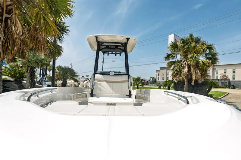 Slide: The Image of Boston Whaler 250 Dauntless 2025 - 23