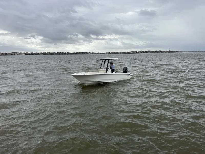 Slide: The Image of Boston Whaler 250 Dauntless 2025 - 4