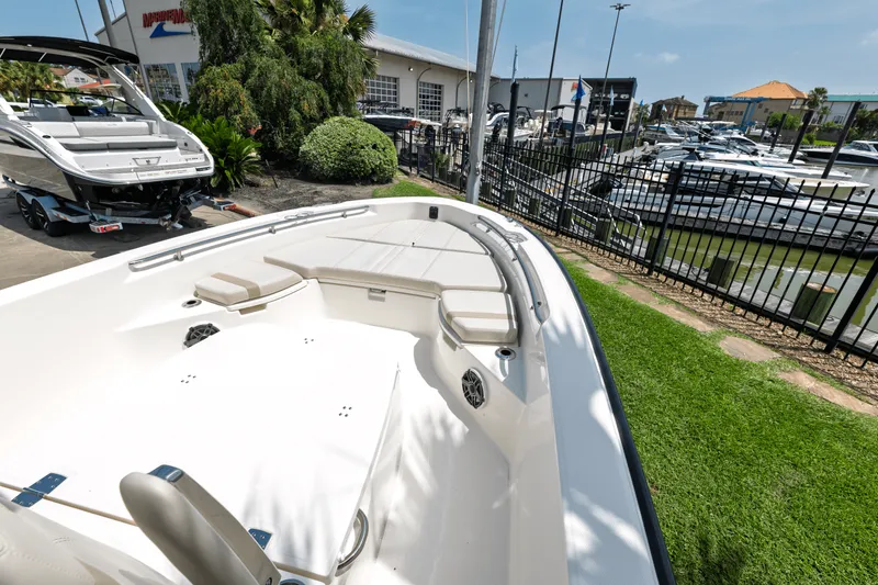Slide: The Image of Boston Whaler 250 Dauntless 2025 - 8