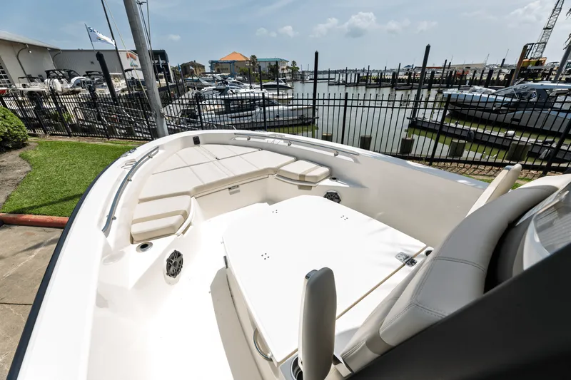 Slide: The Image of Boston Whaler 250 Dauntless 2025 - 9