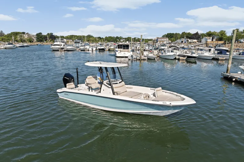 The Image of Boston Whaler 250 Dauntless 2025 - 0