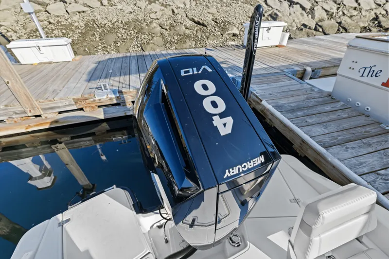 Slide: The Image of Boston Whaler 250 Dauntless 2025 - 12