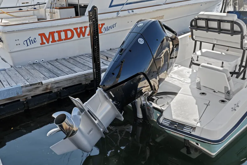 Slide: The Image of Boston Whaler 250 Dauntless 2025 - 13