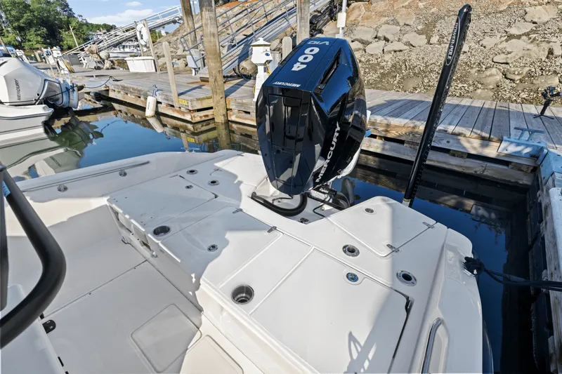 Slide: The Image of Boston Whaler 250 Dauntless 2025 - 15