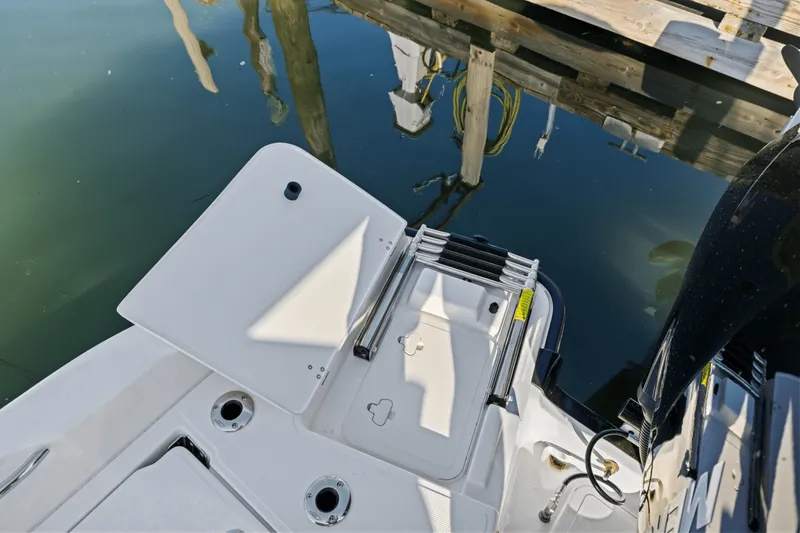 Slide: The Image of Boston Whaler 250 Dauntless 2025 - 16