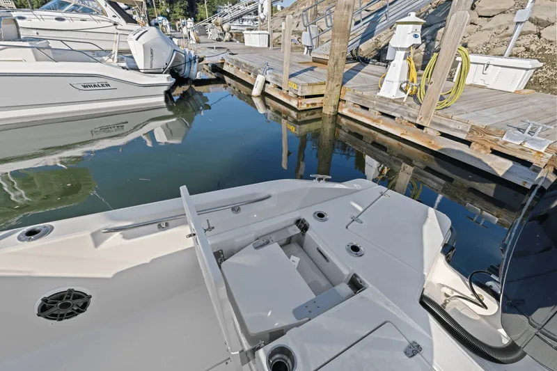 Slide: The Image of Boston Whaler 250 Dauntless 2025 - 18