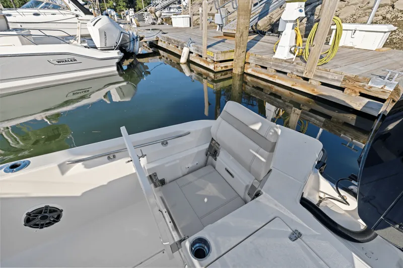 Slide: The Image of Boston Whaler 250 Dauntless 2025 - 19