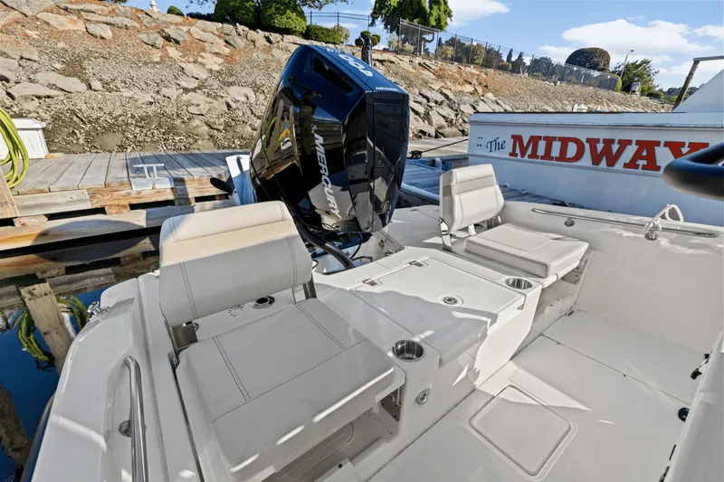 Slide: The Image of Boston Whaler 250 Dauntless 2025 - 20