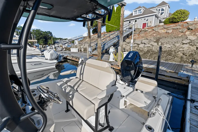 Slide: The Image of Boston Whaler 250 Dauntless 2025 - 29