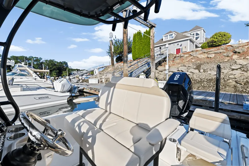 Slide: The Image of Boston Whaler 250 Dauntless 2025 - 30