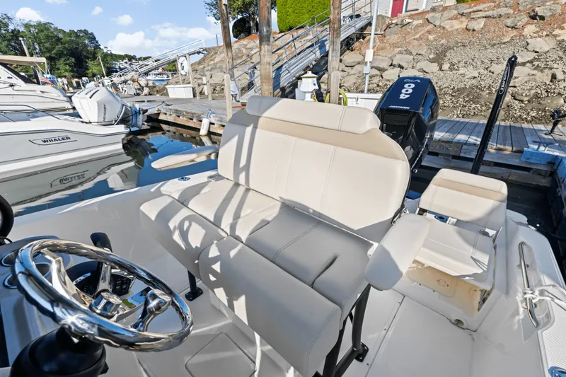 Slide: The Image of Boston Whaler 250 Dauntless 2025 - 31