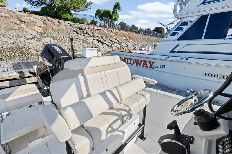 Slide: The Image of Boston Whaler 250 Dauntless 2025 - 32