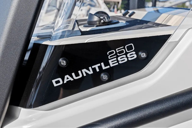Slide: The Image of Boston Whaler 250 Dauntless 2025 - 44