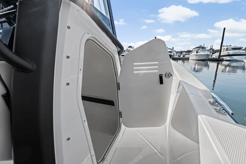 Slide: The Image of Boston Whaler 250 Dauntless 2025 - 45
