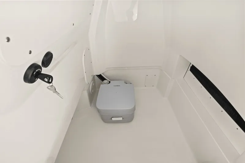 Slide: The Image of Boston Whaler 250 Dauntless 2025 - 47