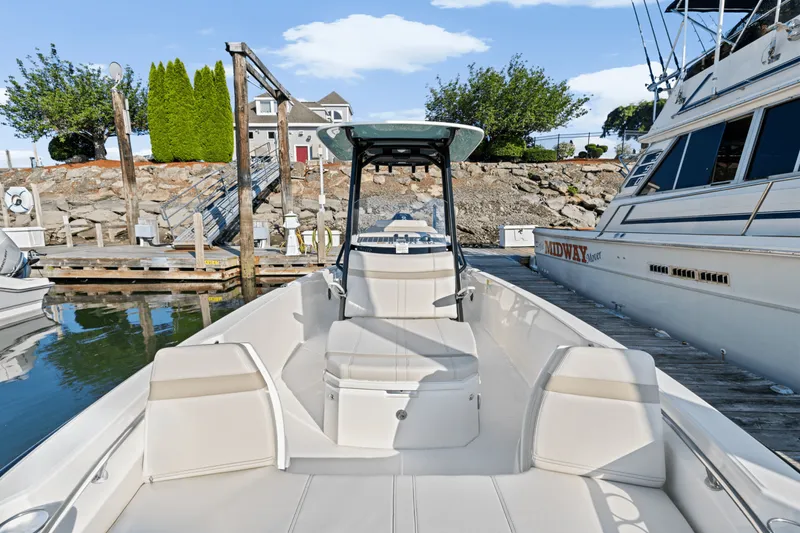 Slide: The Image of Boston Whaler 250 Dauntless 2025 - 49