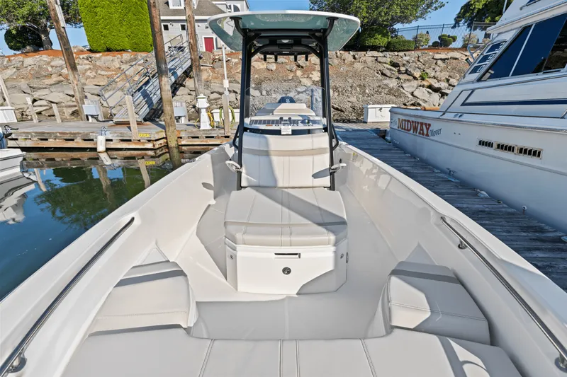 Slide: The Image of Boston Whaler 250 Dauntless 2025 - 50