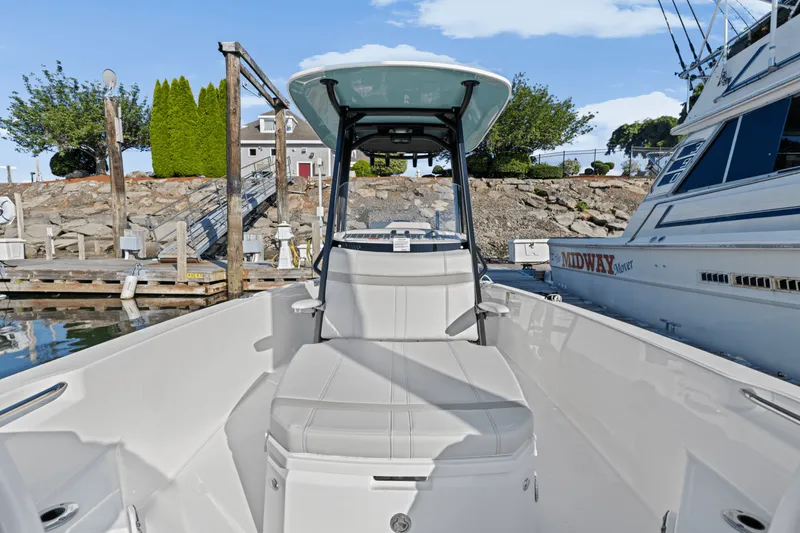 Slide: The Image of Boston Whaler 250 Dauntless 2025 - 51