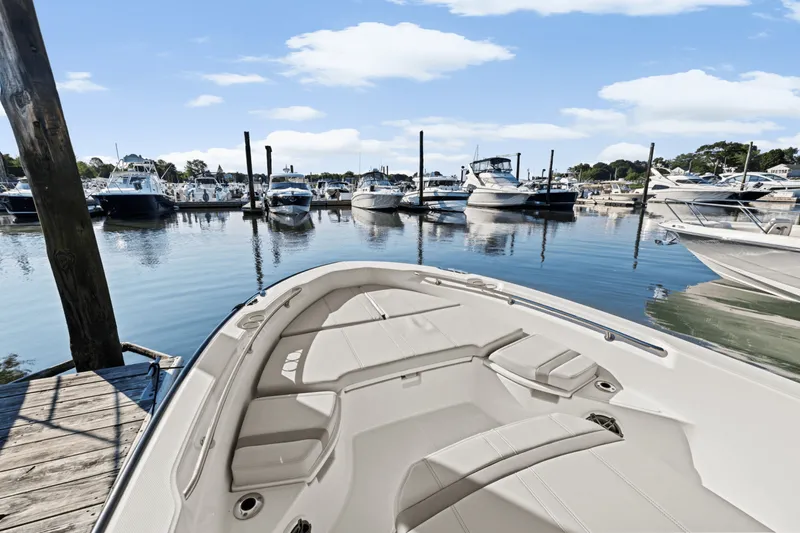 Slide: The Image of Boston Whaler 250 Dauntless 2025 - 54