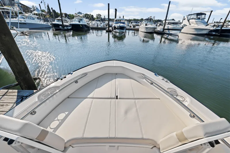 Slide: The Image of Boston Whaler 250 Dauntless 2025 - 58