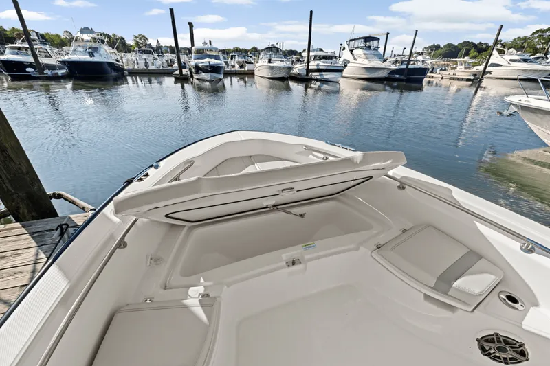 Slide: The Image of Boston Whaler 250 Dauntless 2025 - 59