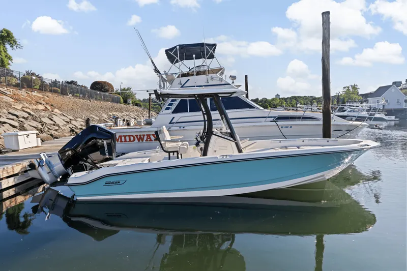 Slide: The Image of Boston Whaler 250 Dauntless 2025 - 6