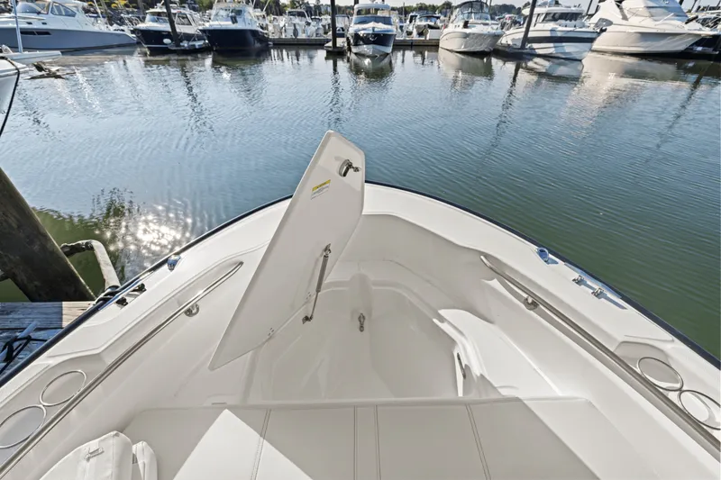 Slide: The Image of Boston Whaler 250 Dauntless 2025 - 60