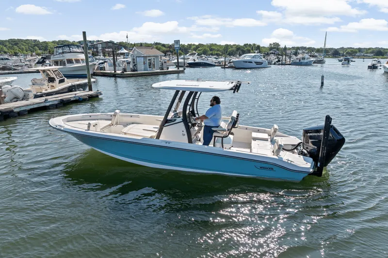 Slide: The Image of Boston Whaler 250 Dauntless 2025 - 61