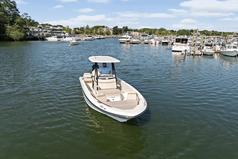 Slide: The Image of Boston Whaler 250 Dauntless 2025 - 65