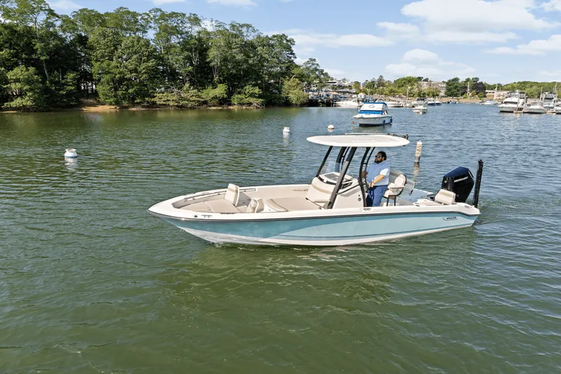 Slide: The Image of Boston Whaler 250 Dauntless 2025 - 68