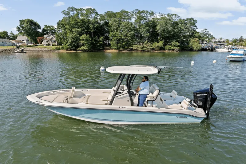 Slide: The Image of Boston Whaler 250 Dauntless 2025 - 69