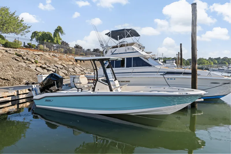 Slide: The Image of Boston Whaler 250 Dauntless 2025 - 7