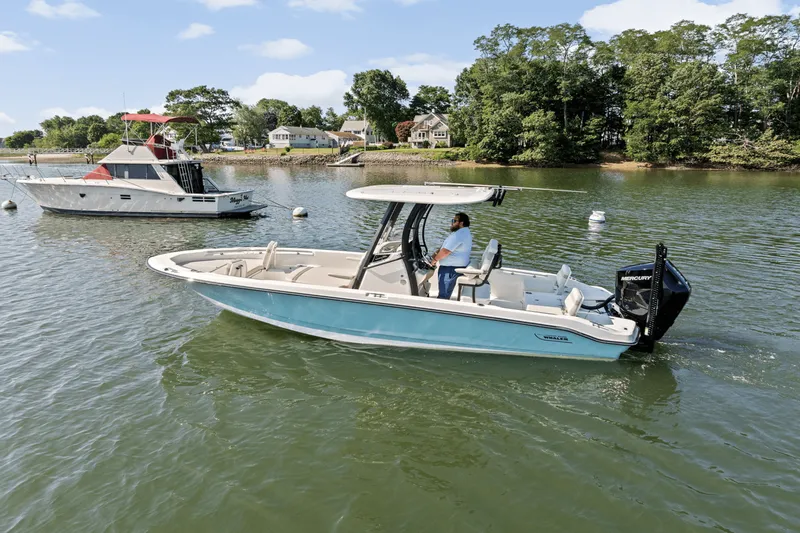 Slide: The Image of Boston Whaler 250 Dauntless 2025 - 70