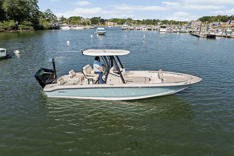 Slide: The Image of Boston Whaler 250 Dauntless 2025 - 72