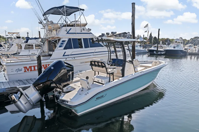 Slide: The Image of Boston Whaler 250 Dauntless 2025 - 8