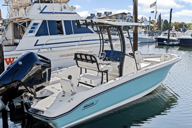 Slide: The Image of Boston Whaler 250 Dauntless 2025 - 9