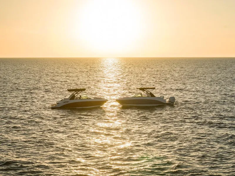 Slide: The Image of Sea Ray SDX 250 Outboard 2024 - 13