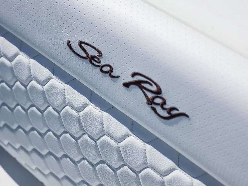 Slide: The Image of Sea Ray SDX 250 Outboard 2024 - 18