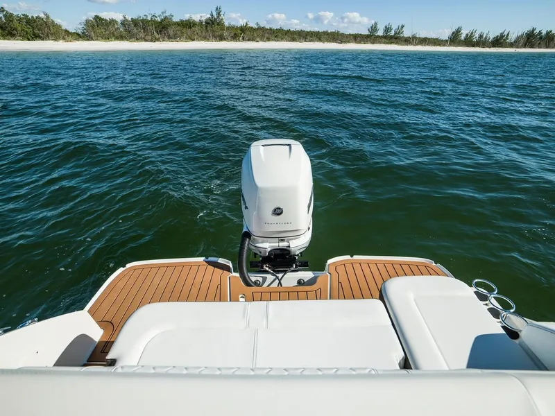 Slide: The Image of Sea Ray SDX 250 Outboard 2024 - 26