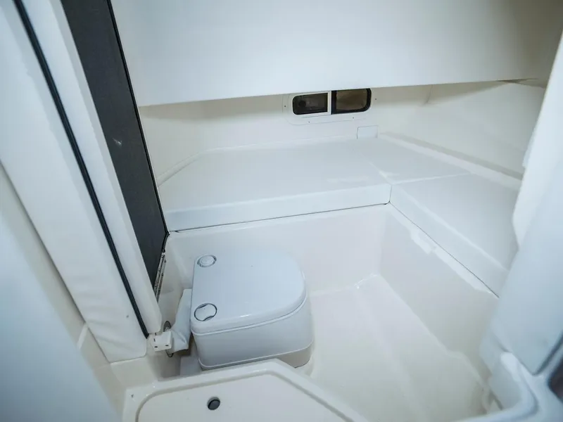 Slide: The Image of Sea Ray SDX 250 Outboard 2024 - 32