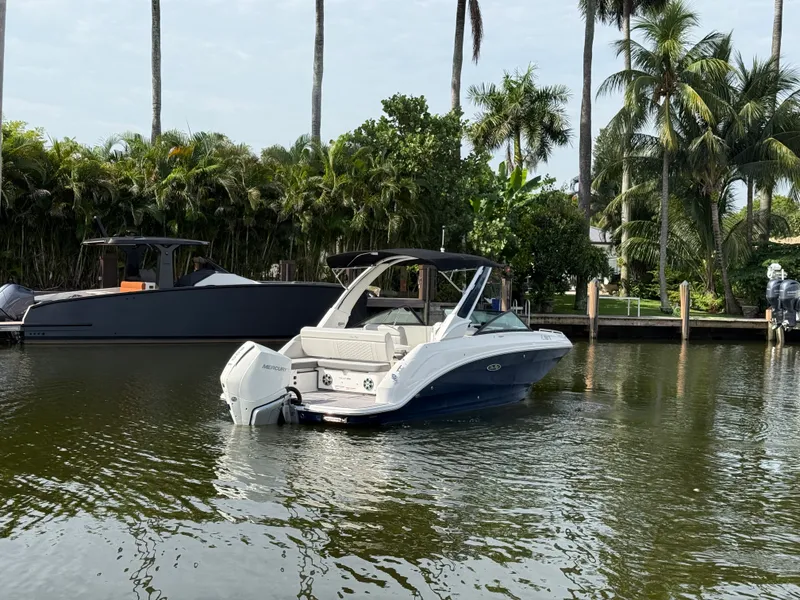 Slide: The Image of Sea Ray SDX 250 Outboard 2024 - 9