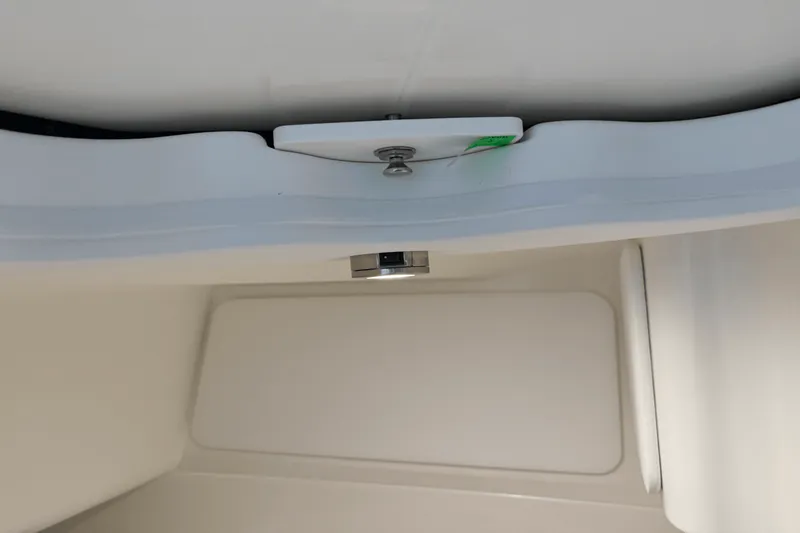 Slide: The Image of Sea Ray SDX 230 Outboard 2026 - 62