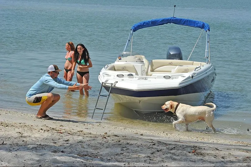 Slide: The Image of 2023 NauticStar 193 Side Console boat on beach with people and dog. - 10