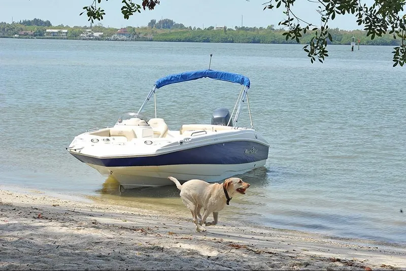 Slide: The Image of 2023 NauticStar 193 Side Console boat on a beach with a dog running nearby. - 9