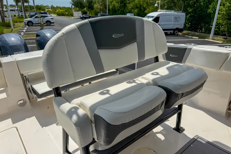 Slide: The Image of Robalo R250 2023 - 8