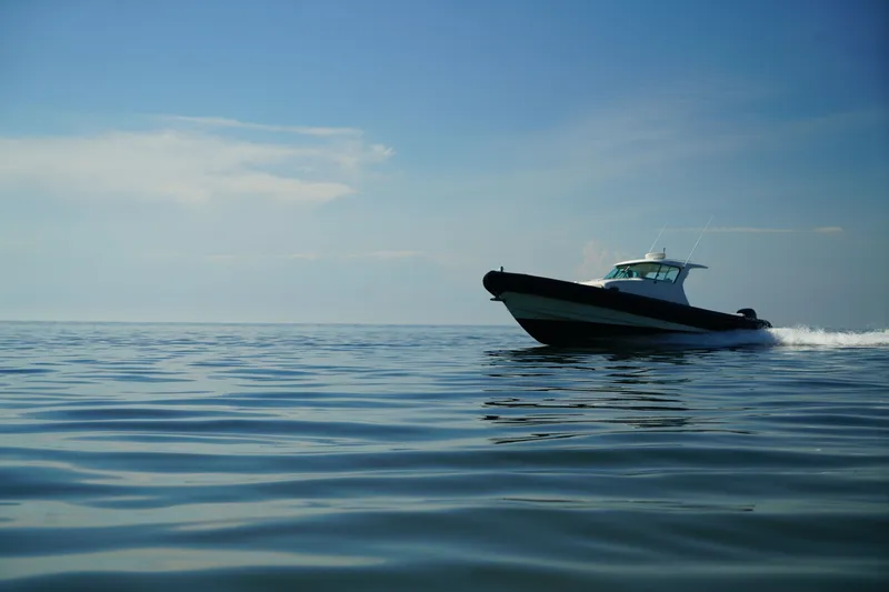 Slide: The Image of Protector 38 Tauranga SL 2008 - 2