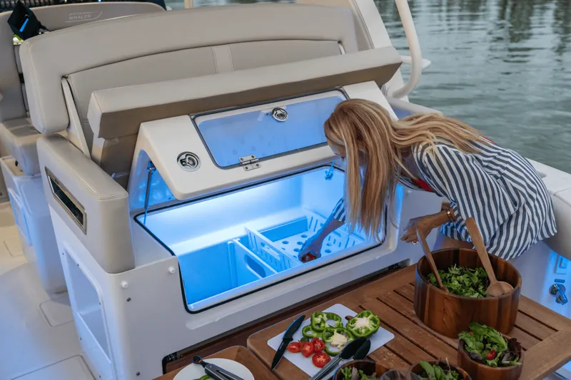 Slide: The Image of Boston Whaler 380 Realm 2024 - 26