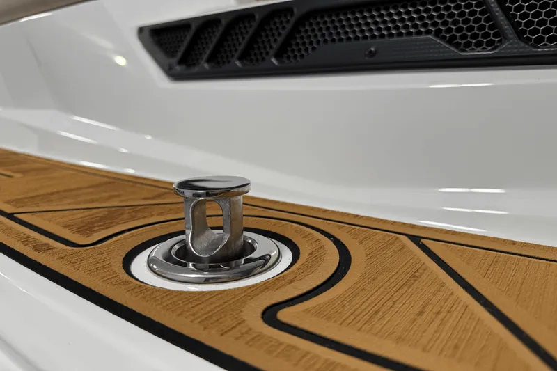 Slide: The Image of Moomba Tykon 2025 - 17