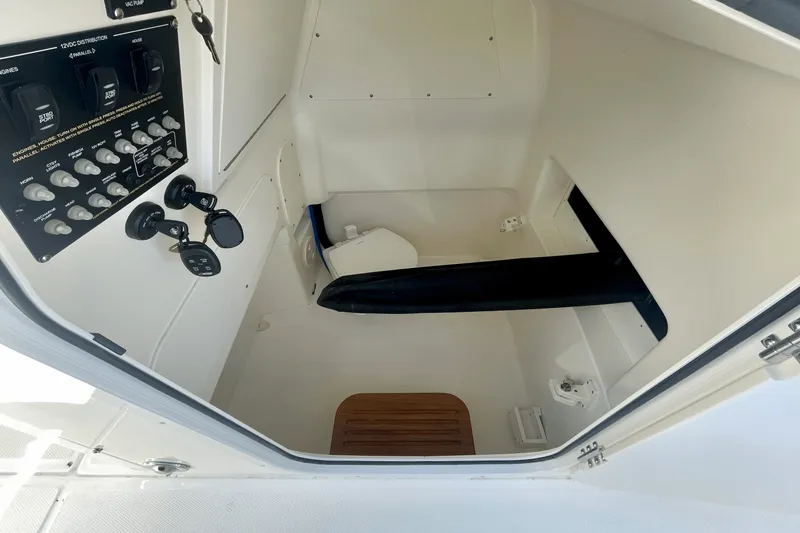 Slide: The Image of Boston Whaler 280 Dauntless 2025 - 15